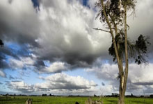 网球——墨西哥公开赛:布云朝克特无缘16强.